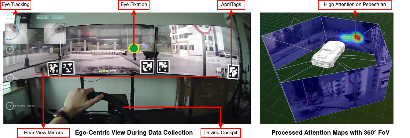 Dataset Collection Setup